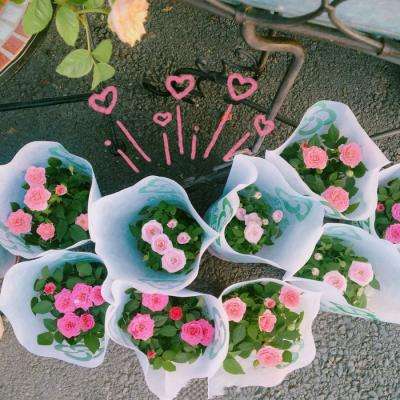我在清朝当宰相手游下载